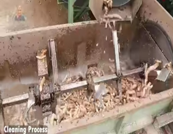 Fruit Washer Gear Box